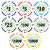 DA VINCI 50 Gray Casino Del Sol Poker Chips, 11.5 Gram, 500 Dollar Denomination, Includes 50 Chips