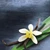EXTRACT VANILLA MADAGASCAN DR.OETKER ( 95 ML )