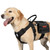 OneTigris Service Dog Vest Harness, Service Dog Cape Guardian Dog Backpack Harness with Pouches Dog Saddle Bag for Small Medium and Large Dogs (Black, M)