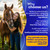 HealthyAnimals4Ever HA4E - Horse Laminitis Support - Hoof Care for Damaged & Injured Hooves - Highly Effective, Natural Homeopathic Supplement - 300 Tablets