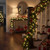 QBIS Outdoor Christmas Lights - Fairy Lights Battery Operated with Small Warm White LEDs, Green Wire, Multifunction, 6hr Timer, Indoor/Outdoor Battery Operated String for Wreath, Garland or Tree