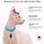 Nuvuq Breakaway Cat Collar - Soft, Comfortable, and Lightweight Safety Buckle Collar with ID Tag Ring for Outdoor Cats and Sensitive Skin Kittens (6 ⅞" to 10 ¼", Blue)