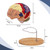 SFXYJ Human Brain Model 2 Times Life Size,Brain Anatomy Model, Includes 4 Pieces Labeled with Figures 9 Colors, for Neuroscience Learning Display Medical Identify Brain Functions