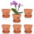 JUXYES Pack of 6 Small Terracotta Orchid Pots with Holes and Saucers, 4-Inch Clay Planter Pots for Indoor and Outdoor Use, Promotes Air Circulation