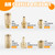 Ailbiuko 32 PCS Air Coupler & Plug Kit,1/4" Inch Body Size x 3/8" NPT Thread Air Tool Fittings Set,Quick Connect Air Hose Fittings Air Compressor Accessories