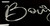 Boujee Car Tag Diamond Etched Engraved Vanity Front License Plate