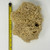 XXL Sea Sponge Very Large 18-20cm Unbleached Honeycomb Natural Seasponge for Bath Use, or Art use (XXL Size Minimum 18cm+) Whole Uncut XXL Sea Sponge Very Large 18-20cm Unbleached Honeycomb Natural Seasponge for Bath Use, or Art use (XXL Size Minimum 18cm+) Whole Uncut
