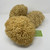 XXL Sea Sponge Very Large 18-20cm Unbleached Honeycomb Natural Seasponge for Bath Use, or Art use (XXL Size Minimum 18cm+) Whole Uncut XXL Sea Sponge Very Large 18-20cm Unbleached Honeycomb Natural Seasponge for Bath Use, or Art use (XXL Size Minimum 18cm+) Whole Uncut