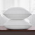 Oubonun 24 x 24 Throw Pillow Inserts, Firm and Fluffy Decorative Square Pillows for Couch Bed Sofa with Soft Cotton Cover White Cushion with Down Alternative Pack of 2