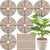 11.8 Inch Plant Pot Grid,6 Pack Plant Pot Soil Covers Protectors with 48 Stakes,Cat Pet Digging Stopper for Indoor Outdoor