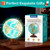 JOWHOL Illuminated Globe of the World with Wooden Stand, 8'' World Globe for Kids & Adults' Learning Built-in LED Night Light, Home Office Classroom Decor Geography Gifts(Elegant Turquoise)