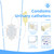Latex Condom Catheter External Self-Sealing Set, Thick Tube,500ml Leg Bag *1, 2000ml Urine Bag *1, Soft Condoms *7, Day and Night Use Quick and Easy Drainage, No Backflow, No Leakage (25mm/0.98inch)