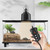 Reptile Heat Lamp Fixture 5.5" Deep Dome with Clamp & Digital Reptile Thermostat Controller, Ceramic Socket UVA UVB Basking Bulb Holder, PID Temp Control for Bearded Dragons Turtles Lizards Snakes