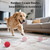 SCHITEC Smart Interactive Dog Toy Ball – Automatic Moving & Bouncing Balls for Large Dogs, Rechargeable Motorized Dog Ball, Stimulating Pet Toy for Active & Bored Medium Large Dogs (Red)