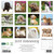 Just Havanese 2025 12" x 12" Wall Calendar
