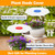 GFYYBKJ 3 Pcs Plants Shade Cover For Outdoor Plants, 65% Sunblock Shade Cloth Outdoor, Garden Shade Disk Umbrella, Sun Shade For Plants, Prefect For Your Garden, Potted Plant, Live Plant Outdoor 06 GFYYBKJ 3 Pcs Plants Shade Cover For Outdoor Plants, 65% Sunblock Shade Cloth Outdoor, Garden Shade Disk Umbrella, Sun Shade For Plants, Prefect For Your Garden, Potted Plant, Live Plant Outdoor 06