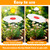 GFYYBKJ 3 Pcs Plants Shade Cover For Outdoor Plants, 65% Sunblock Shade Cloth Outdoor, Garden Shade Disk Umbrella, Sun Shade For Plants, Prefect For Your Garden, Potted Plant, Live Plant Outdoor 06 GFYYBKJ 3 Pcs Plants Shade Cover For Outdoor Plants, 65% Sunblock Shade Cloth Outdoor, Garden Shade Disk Umbrella, Sun Shade For Plants, Prefect For Your Garden, Potted Plant, Live Plant Outdoor 06