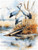 CALVENDO Puzzle Cranes | Size