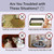 Neobay Magnetic Child Proof Door Lock. No Need for Interior Cat Door. Door Strap and Latch Keep Toddler Out of Room with Litter Box While Let Cat in Easily