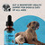 Animal Essentials Slippery Elm - Slippery Elm Bark Anti Diarrhea Drops for Dogs and Cats, Organic Herbal Extract for Healthy Gut, Digestive & Throat Support, Helps Acid Reflux, Liquid Formula- 2 fl oz