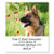German Shepherd and Poppy Square Return Address Labels - Set of 144 1-1/8" x 2-1/4" Self-Adhesive, Flat-Sheet labels