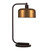 Cadmus 20.5" Tall Table Lamp with Metal Shade in Blackened Bronze/Brass/Brass