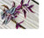 paperhome Wandering Jew - Tradescantia Zebrina - Inch P.Lant 9 Pcs C.uttings Silver Purple Burgundy