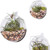 Pulovin 5 Pound Decorative Rocks for Planters, 1"- 1 1/2", Pebbles for Indoor Plants, Vases, Polished Stones for Garden and DIY Decor