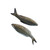 Fathead Minnows (1 Pound, Large)
