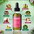 Madani Naturals Scalp Stimulator Hair Growth Oil With Rosemary Oil & Mint - Hair Loss Treatment for Split End and Dry Scalp for All Hair Types, Strengthen Hair and Stop Hair Loss, 2-Fluid Ounces