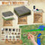 Melee Mats DND Map Starter Set - 22” x 26" Double Sided, Wet & Dry Erase Battle Terrain Grid for Dungeons and Dragons - Tabletop Board Gaming Kit with Accessories