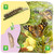 Insect Lore Cup of Caterpillars - 5 Live Painted Lady Caterpillars with Food - Refill for Butterfly Garden Kit - Chrys-A-Lid Holding Log Included - STEM Learning Activity