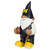 FOCO Michigan 2008 Team Gnome