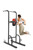 Weider Power Tower with 4 Workout Stations and 300 Lb. User Capacity