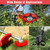 BGTOOL Multi-Function Trimmer Head Weed Eater 25.4mm Trimmer Blade Universal fit Straight Shaft Trimmer for Stihl Geenwork Honda etc…(6 inch)