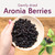 Aronia Original Organic Dried Aronia Berries 17.6 oz (500 g) - Unsweetened Black Chokeberries, Gently Dried After Harvest - Vegan, Non-GMO, No Sulfites or Additives