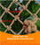 KACQIHTU Hemp Rope Net Child Safety Net Rope Fence Stairs Balcony Railings Garden Playground Safety Protection Rope Netting Climbing Net for Kids-1761621919 KACQIHTU Hemp Rope Net Child Safety Net Rope Fence Stairs Balcony Railings Garden Playground Safety Protection Rope Netting Climbing Net for Kids-1761621919