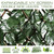 ColourTree Artificial Ivy Expandable Fence Privacy Screen, Retractable Hedge, Faux Trellis for Balcony, Patio, Outdoor & Home Decorations - 3 Years Warranty (Double-Side Leaves, 1 Pack) ColourTree Artificial Ivy Expandable Fence Privacy Screen, Retractable Hedge, Faux Trellis for Balcony, Patio, Outdoor & Home Decorations - 3 Years Warranty (Double-Side Leaves, 1 Pack)