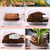 Riare 8 Pack Coco Chips Substrate for Plants- 8.8lb 100% Organic Coconut Husk Brick with Low EC and pH Balanced, High Expansion Coconut Substrate Coco Husk Mulch for Garden Flowers, Herbs, Planting Riare 8 Pack Coco Chips Substrate for Plants- 8.8lb 100% Organic Coconut Husk Brick with Low EC and pH Balanced, High Expansion Coconut Substrate Coco Husk Mulch for Garden Flowers, Herbs, Planting