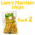 (pack of 02) Lam's Plantain Strips || Tiras de Platano || 2.5oz || 71g || Vegetable Snacks || Healthy & Fresh Snacks || Gluten-free || Banana Chips || Natural Slices ||
