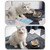 AYADA Raised Cat Food Bowl, Stainless Steel Cat Dish for Food Water Anti Vomiting Elevated with Stand Ergonomic Lifted Slanted Tilted 15 Angle Metal Single Kitty Kitten Wet Food Bowl Pet Bowl (Single)