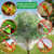 3 Pack Fruit Tree Netting 7x6 Ft Garden Netting for Tree Protection Large Tree Cover to Keep Birds, Squirrels & Insects Out