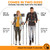 Foxelli Lightweight Trekking Poles – Compact Walking Sticks with Quick Locks, Ergonomic Cork Grip & All-Terrain Accessories – Adjustable Collapsible Poles for Travel & Hiking