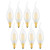 CRLight ​​8 Pack 2W Dimmable Candelabra LED Bulbs, 3000K Soft White 25W Equivalent 250LM, E12 Flame Bent Tip C35 Frosted Glass Chandelier & Ceiling Fan Light Bulbs​