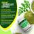 Moringa Capsules 1200mg - Pure Moringa Powder for Immune, Gut health 90 Capsules