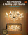 60W Candelabra Light Bulbs, E12 B10 Clear Candle Base Bulb with Warm White 2700K, 600 Lumen Dimmable, 120V Incandescent Chandelier Light Bulbs for Pendants, Ceiling Fan, Wall Sconces (12-Pack) 60W Candelabra Light Bulbs, E12 B10 Clear Candle Base Bulb with Warm White 2700K, 600 Lumen Dimmable, 120V Incandescent Chandelier Light Bulbs for Pendants, Ceiling Fan, Wall Sconces (12-Pack)