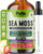 Pella Nutrition Sea Moss Drops with Bladderwrack – 4X Faster Absorption Than Irish Sea Moss Gel Superfood, Gummies, and Capsules – Digestive & Immune Support Supplement (Strawberry Lime, 60mL) Pella Nutrition Sea Moss Drops with Bladderwrack – 4X Faster Absorption Than Irish Sea Moss Gel Superfood, Gummies, and Capsules – Digestive & Immune Support Supplement (Strawberry Lime, 60mL)