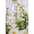 Provence Sante Eau de Toilette Spray - Luxury Long-Lasting Fragrance - Vetiver Scent - Elegant Perfume Gift - Made in France - 3.5 Oz