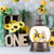 Bee Hive Decor Spring Bee Gnome Light Up Snow Globe 6H Timer Honey Bee Decorations for Spring Decor,Home Shelf Decor,Battery Operated & USB Operated
