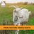 It's Just! - Goat Whey Protein Concentrate, Made in USA, Pasture Raised, Whey from Goat Milk, One Ingredient, 16 Ounce